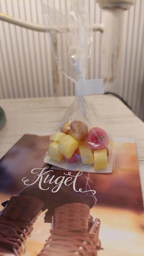 Boutique Hotel Kugel Wien 3*, Viyana Avusturya